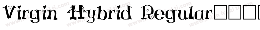 Virgin Hybrid Regular字体转换